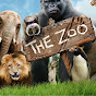 Morning Zoo YouTube Profile Photo