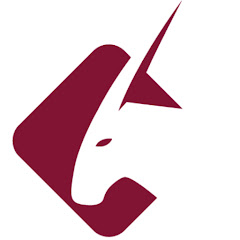 Qatar Guides