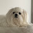 @Jellyismydogname