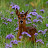 @redshutterphotgraphy
