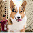 @Angleiethecorgi