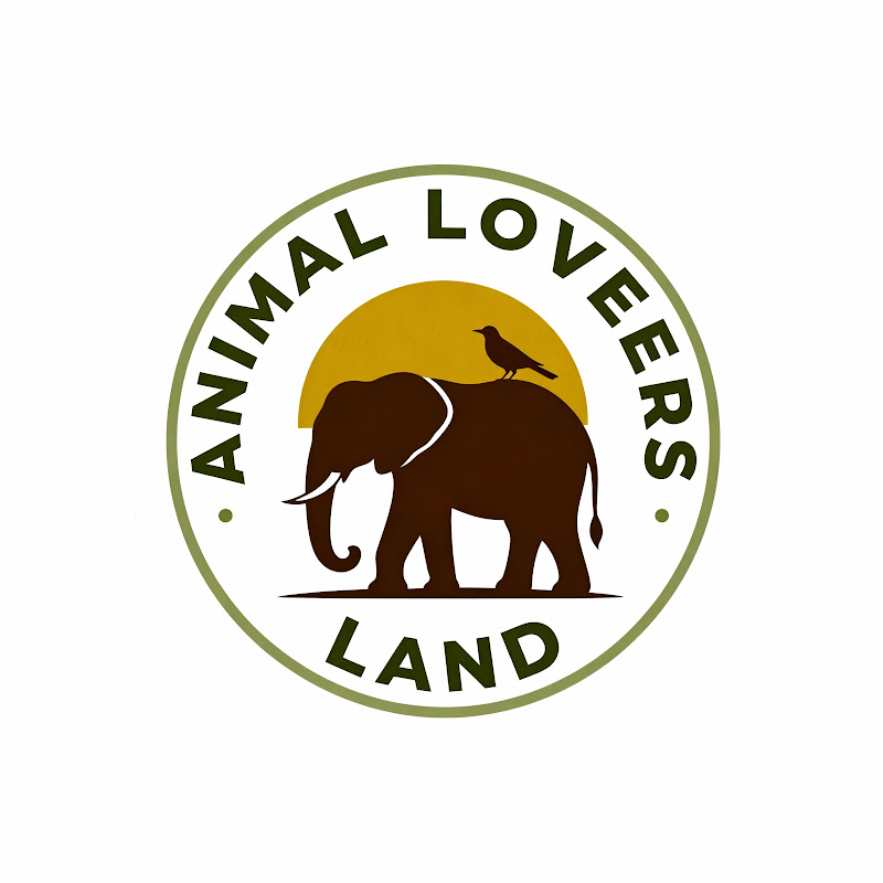 Animal Lovers Land