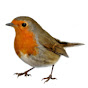 GwieGarten Avatar