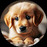9HHIa50inoM-channel-avatar-FurShelter