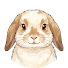 XnaUosWHhtY-channel-avatar-Bunee Rabbit
