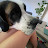 @Deleersnyder-P