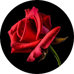 私のスカッとする体験聞いて下さい