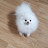 @채콩이맘