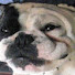 w00W7dxybXE-channel-avatar-chewy4u