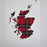 9P2mKkHh4mU-channel-avatar-Red Scotland