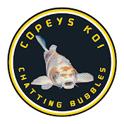 copeys koi chatting bubbles