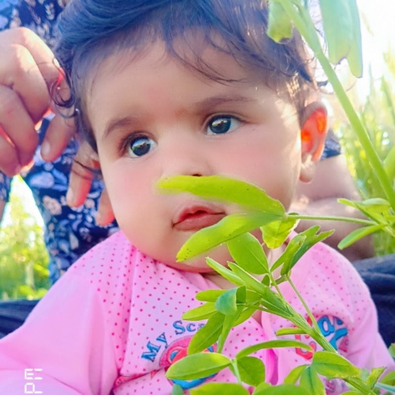 Journey of gardening