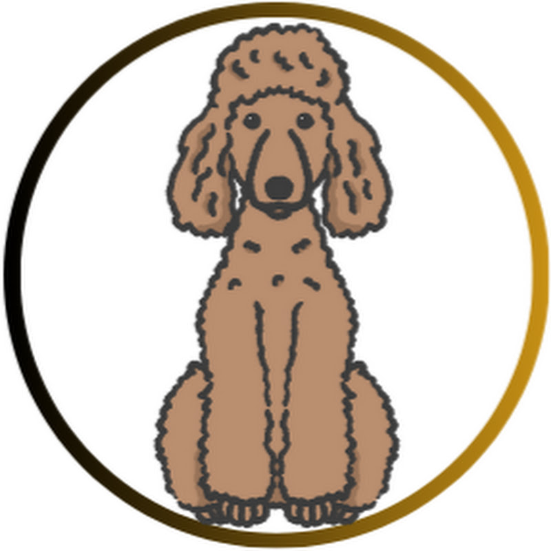 スタンダートプードル麦との暮らし【ペット素人と愛犬との生活】