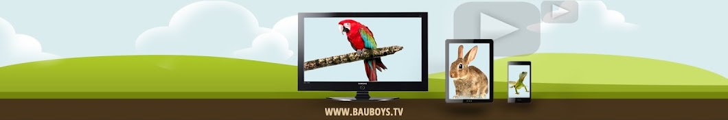BauBoysTV رمز قناة اليوتيوب