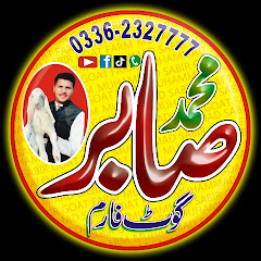 Channel thumbnail for گوٹ فارم محمدصابر03354746487 Bakra fram