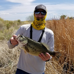 FishNevada