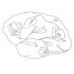 qa2dB3xkwoI-channel-avatar-Glioblastoma Research Organization