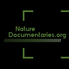 Nature Documentaries