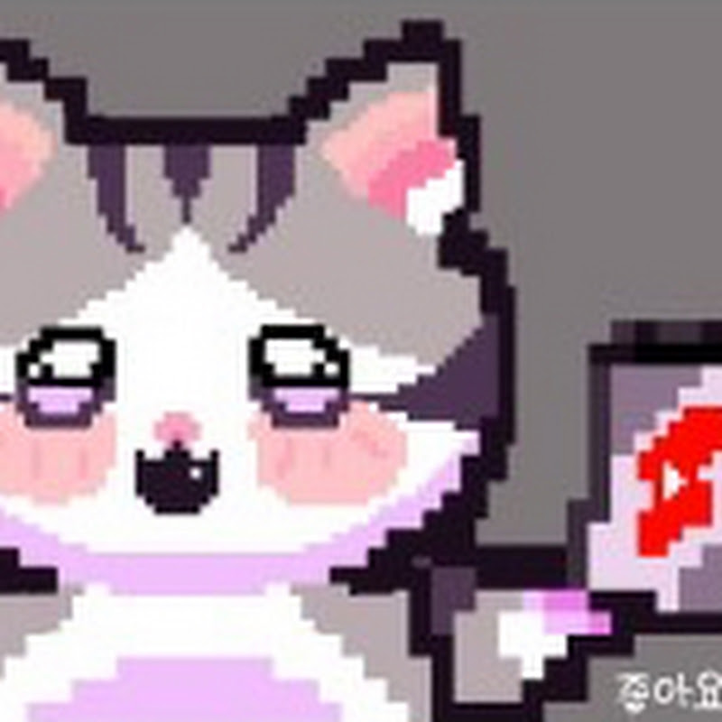 냥냥이 쇼츠