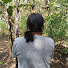 TtyHPcMWu0g-channel-avatar-Babeh Tasyana