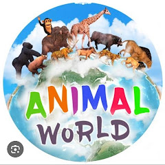 AnimalWorld