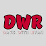 Fhjad_BkbYk-channel-avatar-Days With Ryan