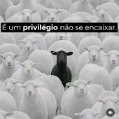 🐝doce menina mulher oficial do YouTube 🐝