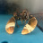 @lobster-s9u Avatar
