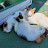 @kitty-house