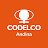 Comunicaciones Codelco División Andina