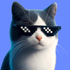 好奇心旺盛な猫