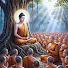 1cWYTyM8ru4-channel-avatar-Zen Nirvana India