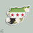 @Syriangirly2016