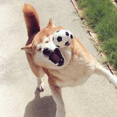 れっどぶるぽんつまん石橋