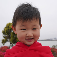 开心果悦悦