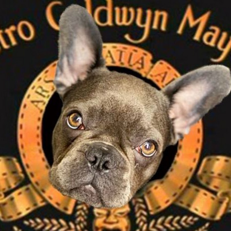 Bulldog Reaction 🐾 Zephyrka girl 🐕