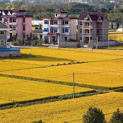 中国农村风土人情アイコン画像