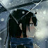 3zrqIkyt8vc-channel-avatar-r a i n y d a y s