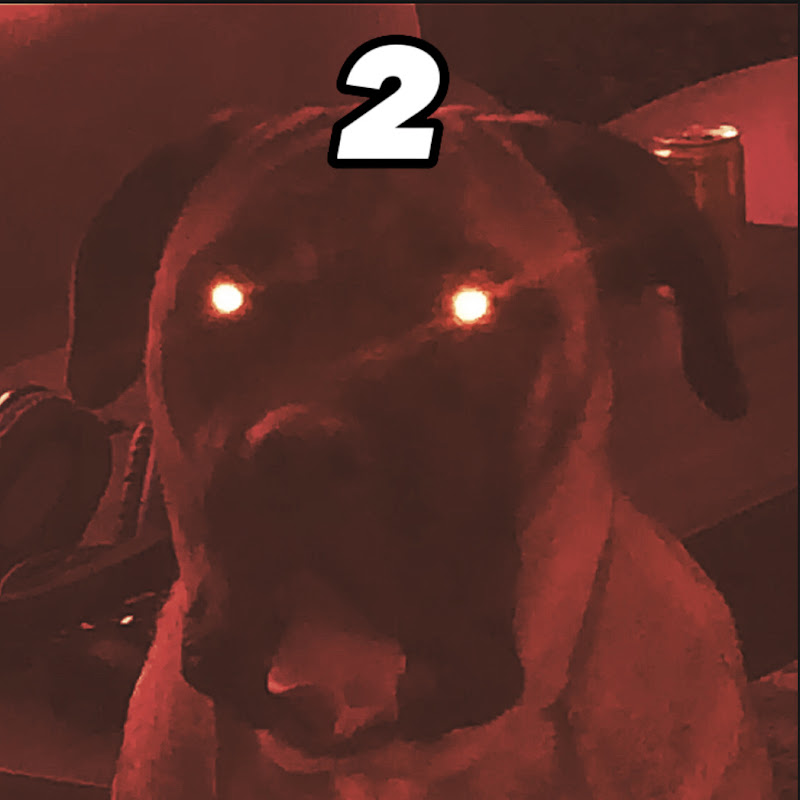 MclovinCaleb2