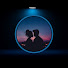 2pNGmJcF784-channel-avatar-Words My Heart Feels