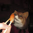 ghuI5RzQduY-channel-avatar-riverr