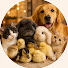 adliQqV-494-channel-avatar-Cozy Animal Corner
