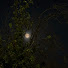 9nN_wlL4ucM-channel-avatar-ghadeer
