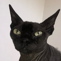 Profile Picture of B0NN0Y