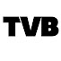 qB5xVSe2hsM-channel-avatar-TVBEurope