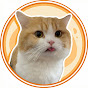 Purr & Play