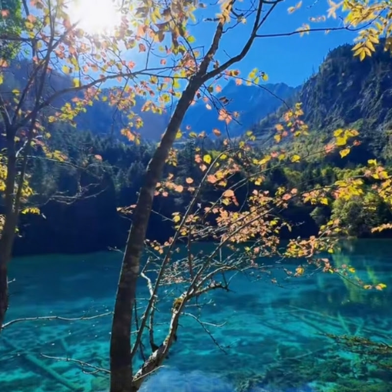 Angela帶你看世界