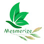 Mesmerize logo