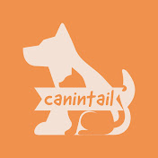 canintail