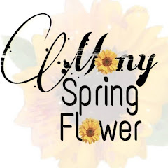 Mony spring flower H&M